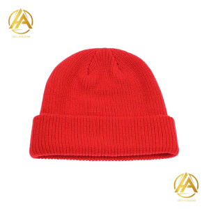 Beanie Caps-001
