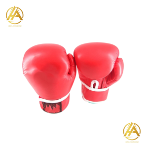 Boxing Gloves-004